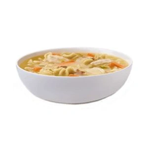 Bowl of Chicken Noodle Soup
